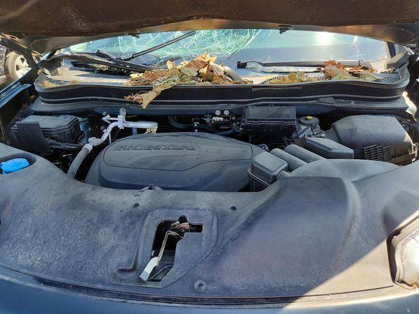 2021 HONDA PILOT SE