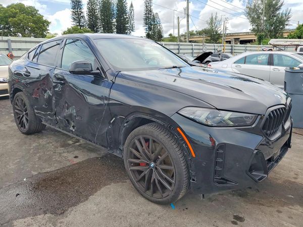 2025 BMW X6