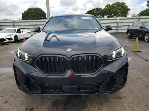 2025 BMW X6