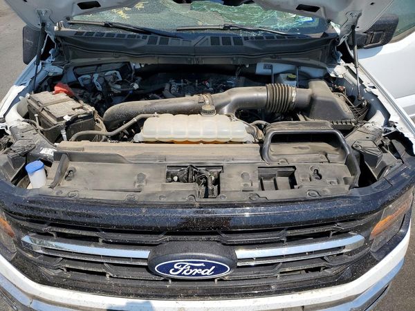 2025 FORD F150 XLT