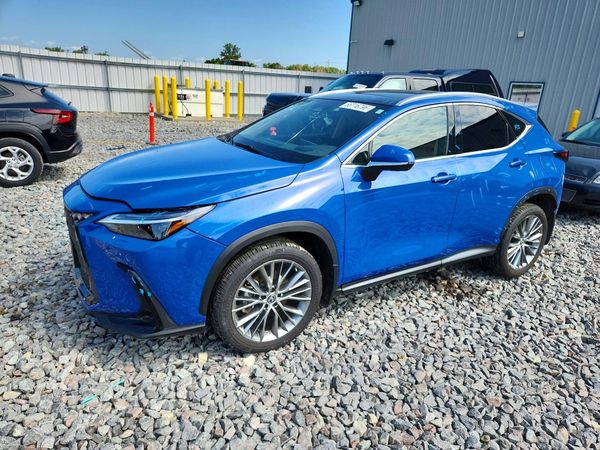 2023 LEXUS NX 350 Luxury