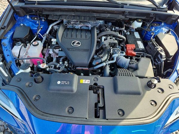 2023 LEXUS NX 350 Luxury