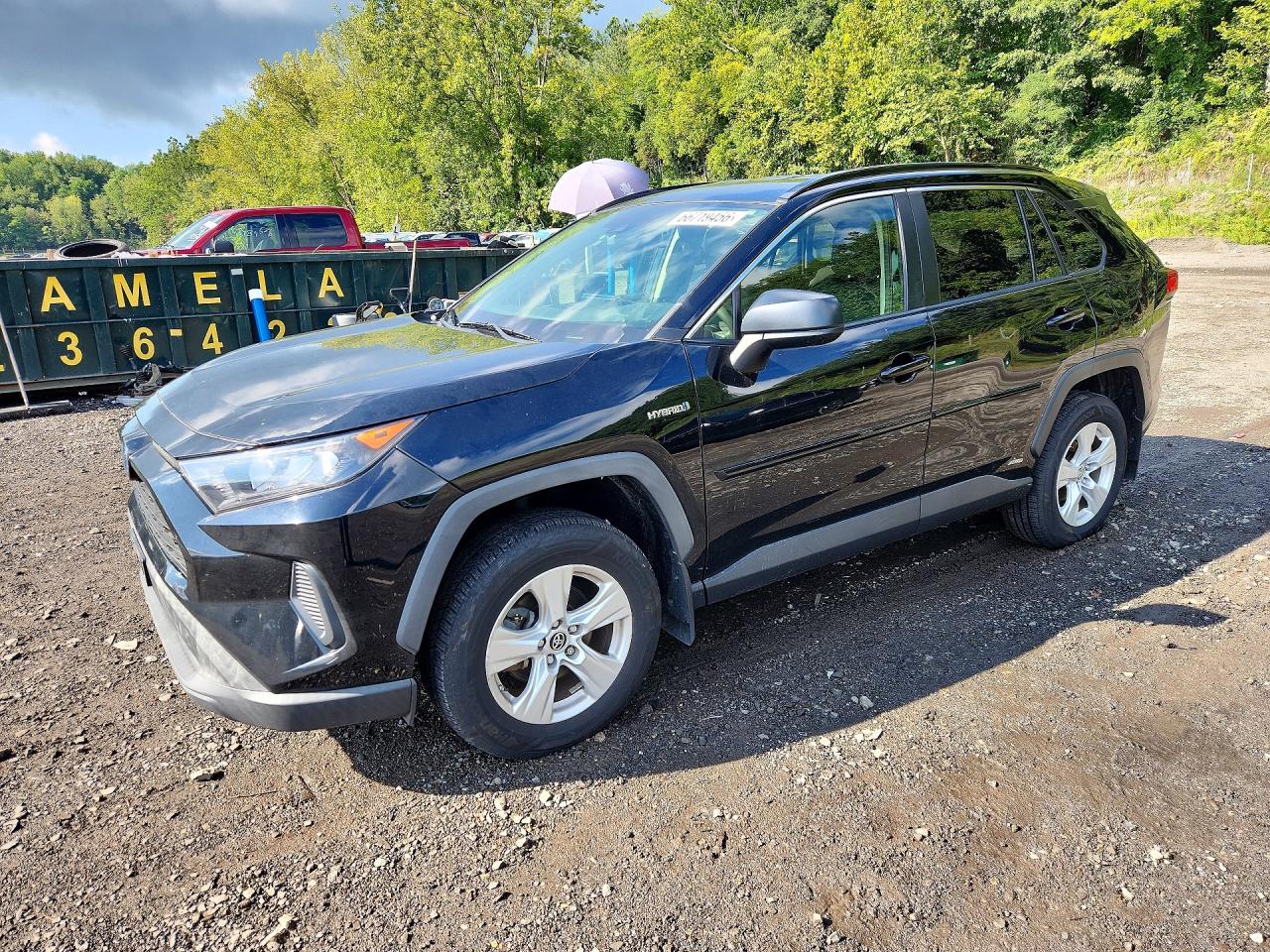 2019 TOYOTA RAV4