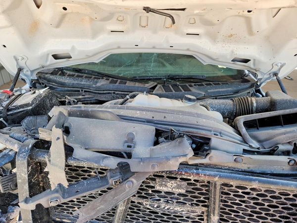 2026 FORD F150 XL — Engine bay