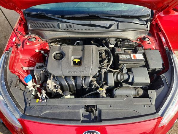 2019 KIA FORTE FE/LX/LXS