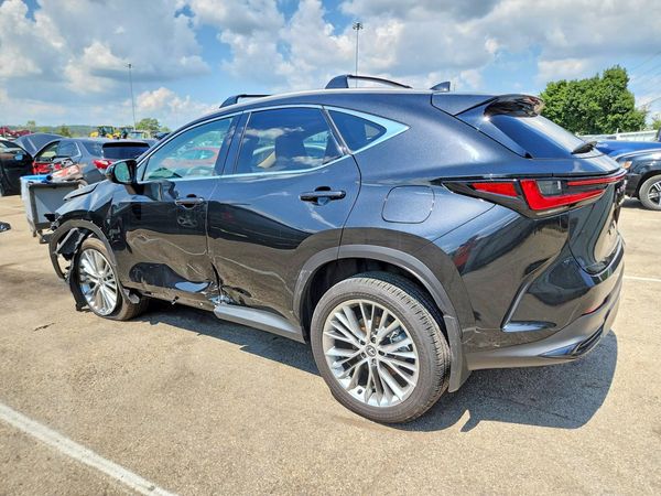 2025 LEXUS NX 350 Premium