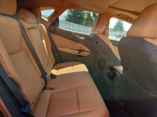 2025 LEXUS NX 350 Premium