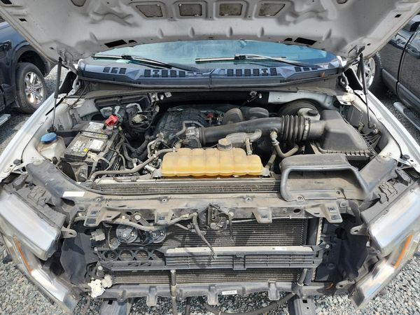2019 FORD F150