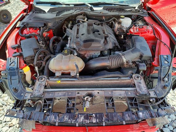 2019 FORD MUSTANG I4 Coupe