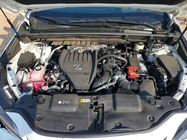 2024 LEXUS NX 350 F Sport Handling — Engine bay