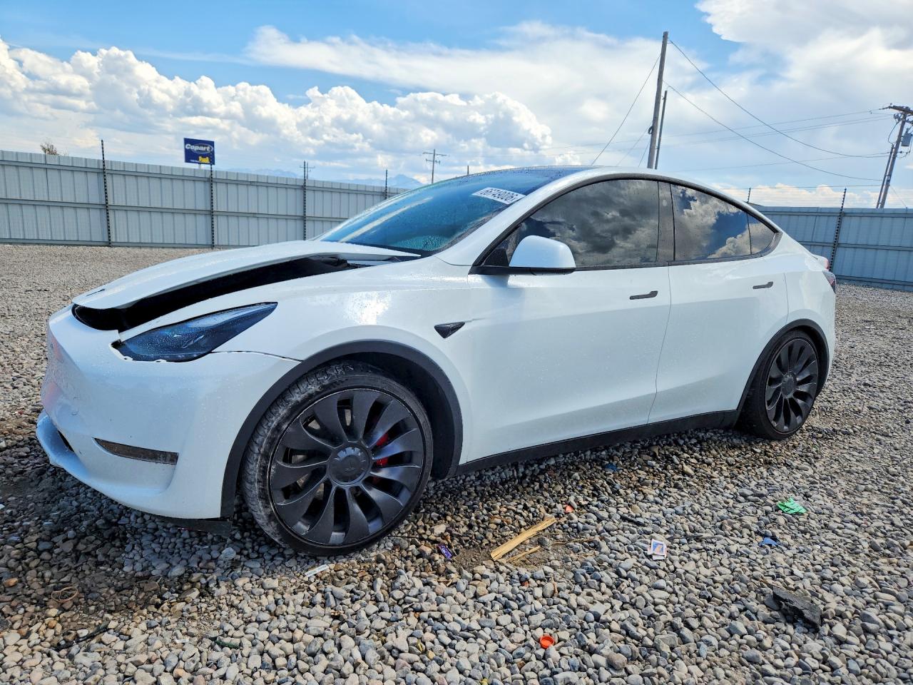 2023 TESLA MODEL Y