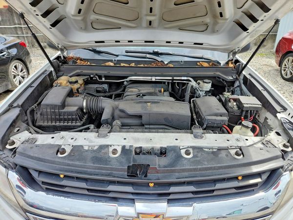 2019 CHEVROLET COLORADO