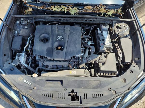 2021 LEXUS ES 250 350 Premium