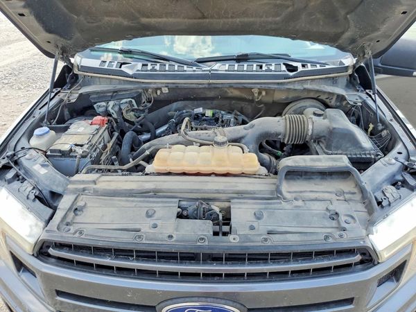 2019 FORD F150