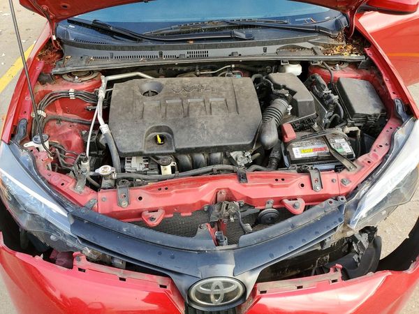 2019 TOYOTA COROLLA