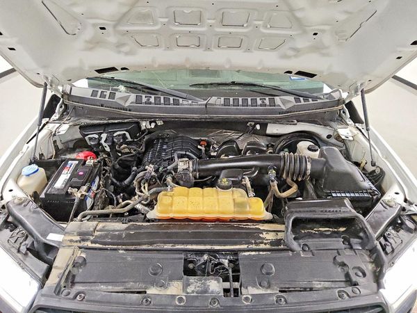2019 FORD F150