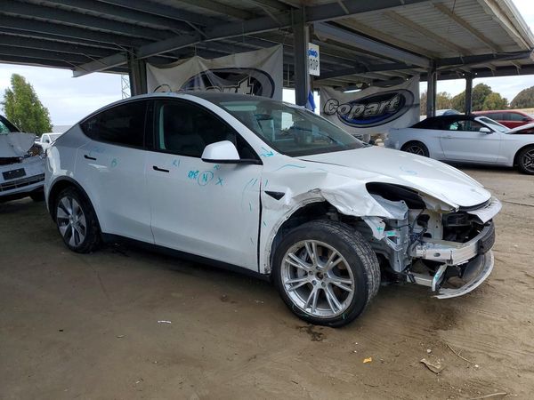 2021 TESLA MODEL Y