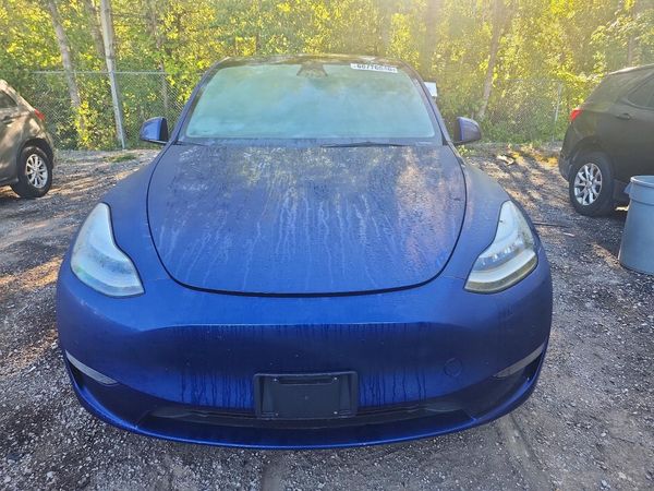 2021 TESLA MODEL Y