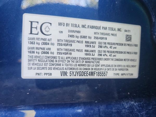 2021 TESLA MODEL Y