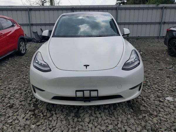 2023 TESLA MODEL Y — DIRF