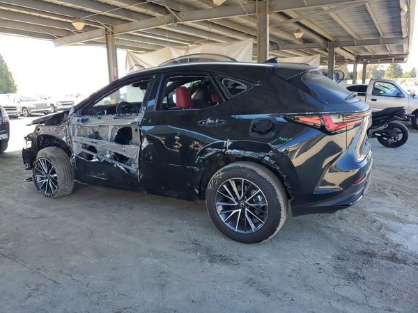 2026 LEXUS NX 450H+ 450h+ Luxury