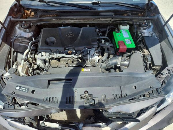 2019 TOYOTA CAMRY L/LE/SE/XLE