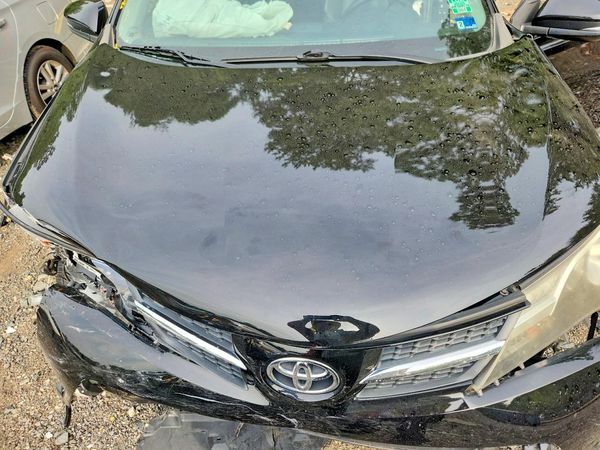 2015 TOYOTA RAV4 Limited (G Grade)