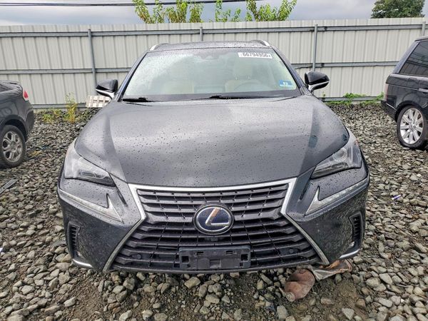 2019 LEXUS NX 300H Luxury