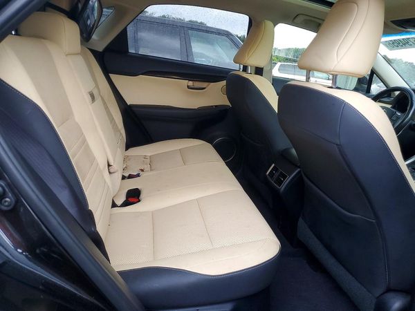 2019 LEXUS NX 300H Luxury