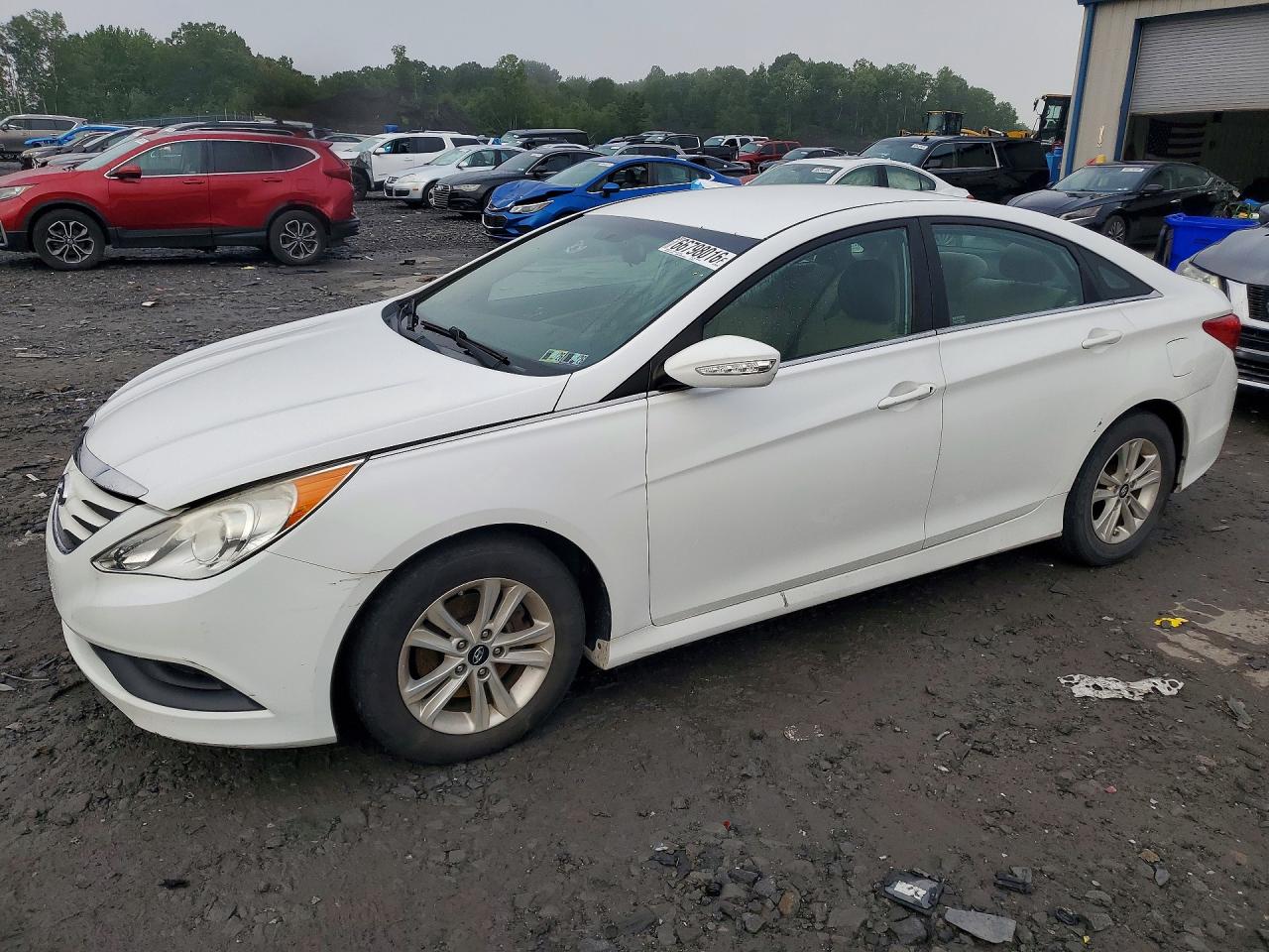 2014 HYUNDAI SONATA GLS/ GLS Popular
