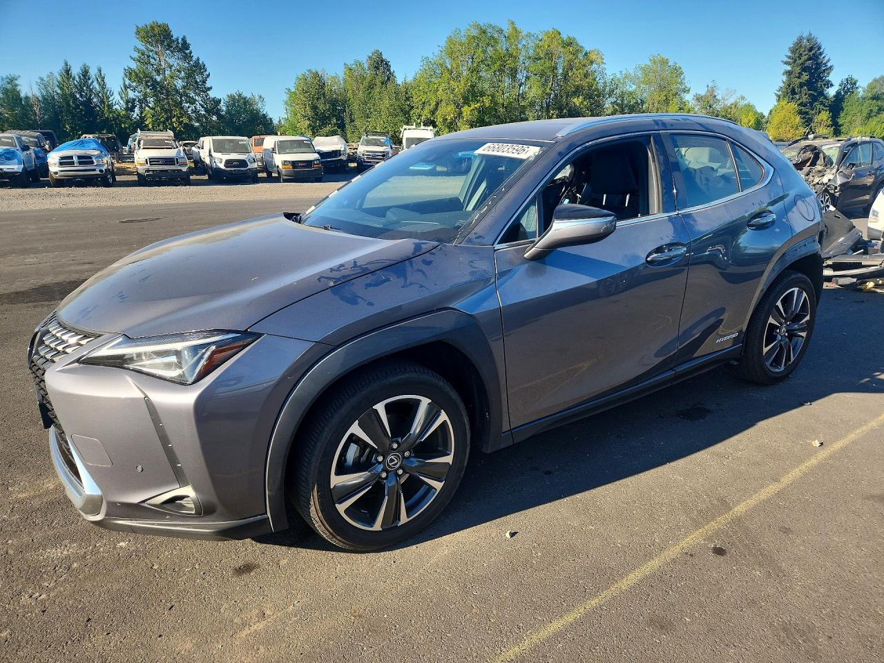 2020 LEXUS UX
