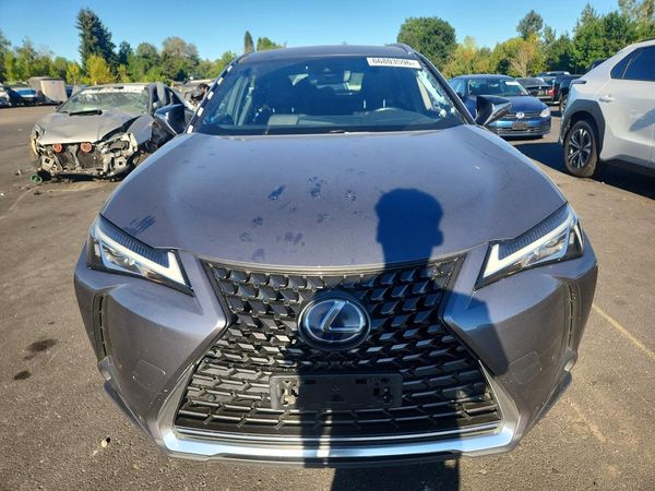 2020 LEXUS UX