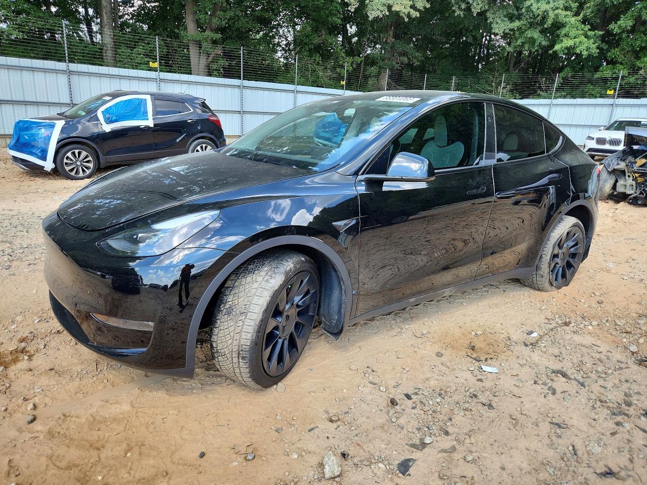 2024 TESLA MODEL Y