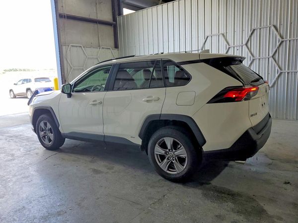 2025 TOYOTA RAV4 LE — DSRA