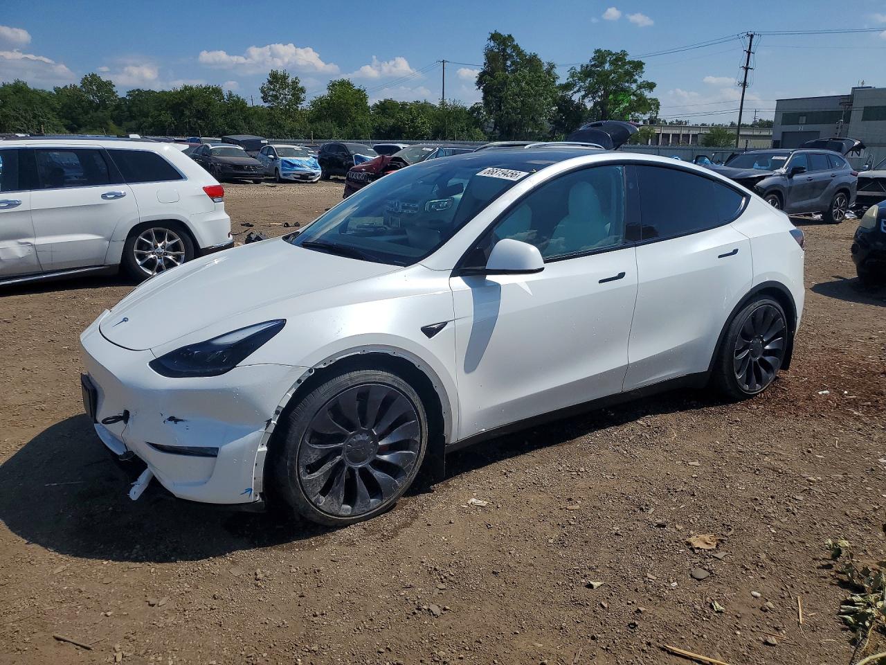 2024 TESLA MODEL  Y