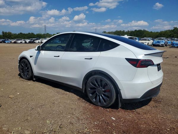 2024 TESLA MODEL  Y