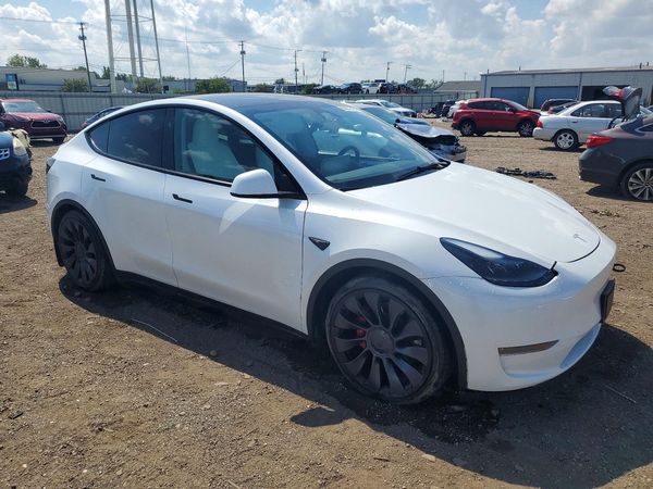 2024 TESLA MODEL  Y
