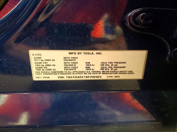 2025 TESLA MODEL Y