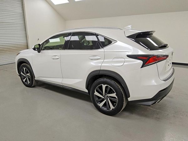 2019 LEXUS NX 300 300 Luxury — DSRA