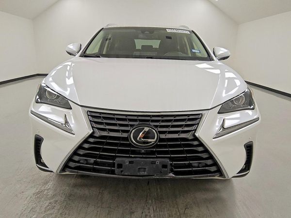 2019 LEXUS NX 300 300 Luxury — DIRF