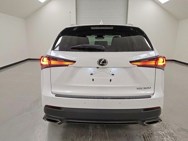 2019 LEXUS NX 300 300 Luxury — DIRR