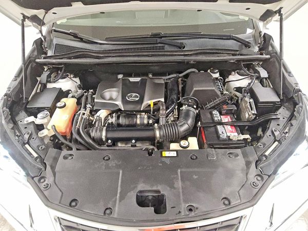 2019 LEXUS NX 300 300 Luxury — Engine bay