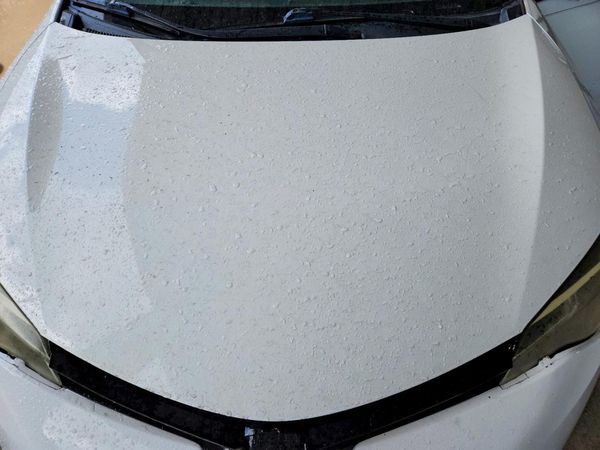 2019 TOYOTA COROLLA L/LE/SE/XLE/XSE — Engine bay