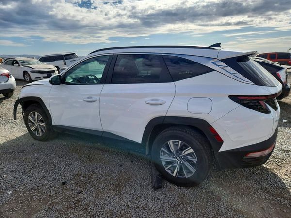2023 HYUNDAI TUCSON Blue
