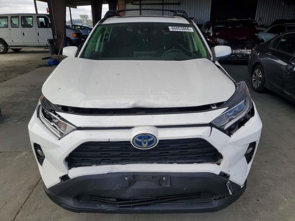 2019 TOYOTA RAV4 — DIRF
