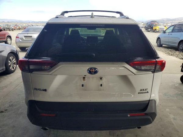 2019 TOYOTA RAV4 — DIRR