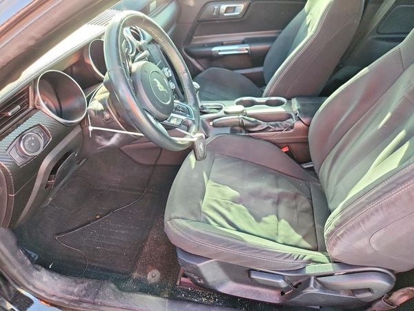 2019 FORD MUSTANG — DENT