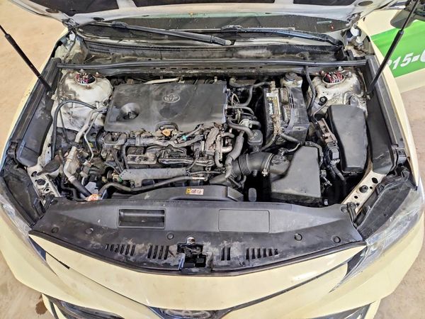 2019 TOYOTA CAMRY L/LE/SE/XLE — Engine bay