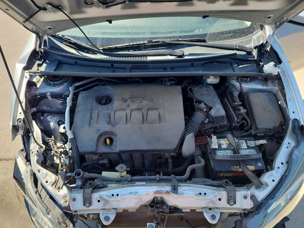 2019 TOYOTA COROLLA