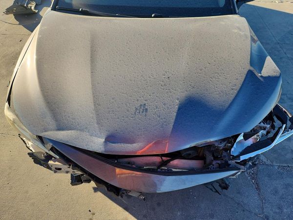 2019 TOYOTA CAMRY L/LE/SE/XLE